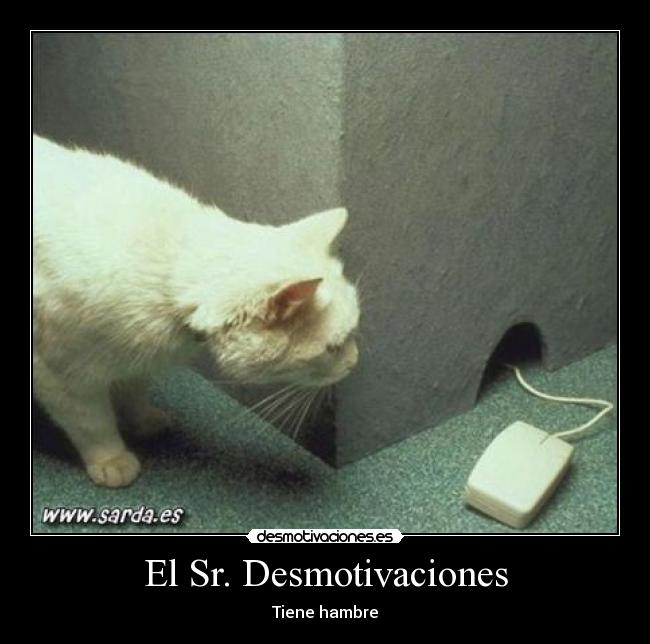 El Sr. Desmotivaciones -