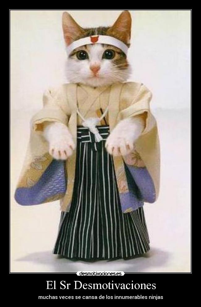 El Sr Desmotivaciones - muchas veces se cansa de los innumerables ninjas