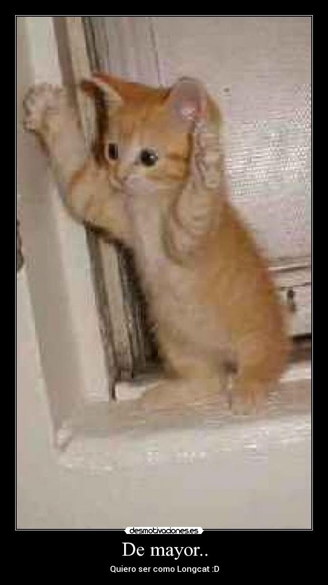 De mayor.. - Quiero ser como Longcat :D