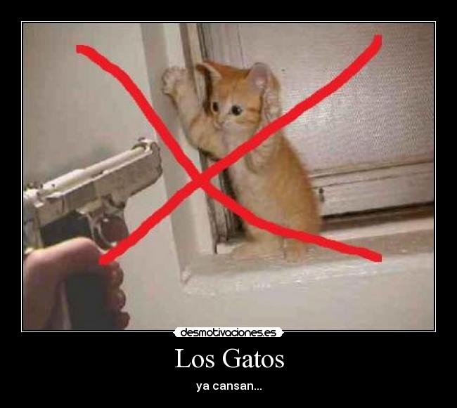 Los Gatos -