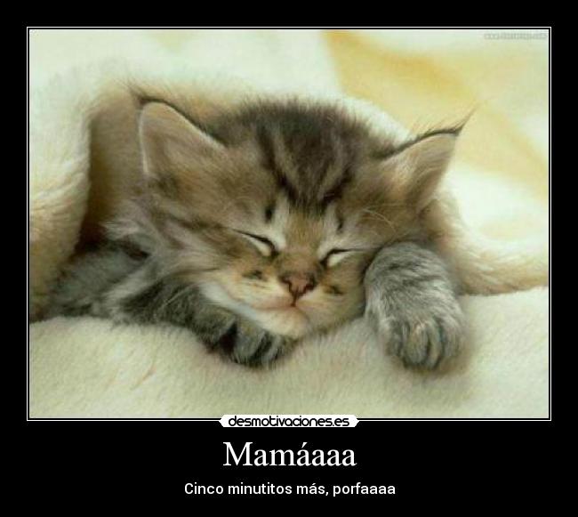 Mamáaaa - Cinco minutitos más, porfaaaa