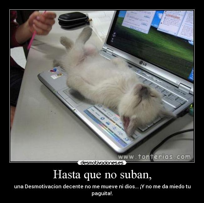 Hasta que no suban, - una Desmotivacion decente no me mueve ni dios... ¡Y no me da miedo tu paguita!.