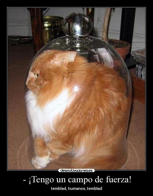 - ¡Tengo un campo de fuerza! - temblad, humanos, temblad