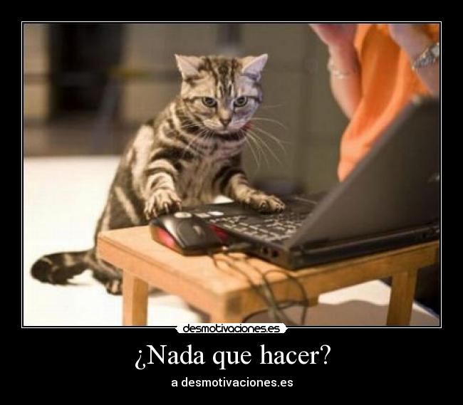 ¿Nada que hacer? - a desmotivaciones.es