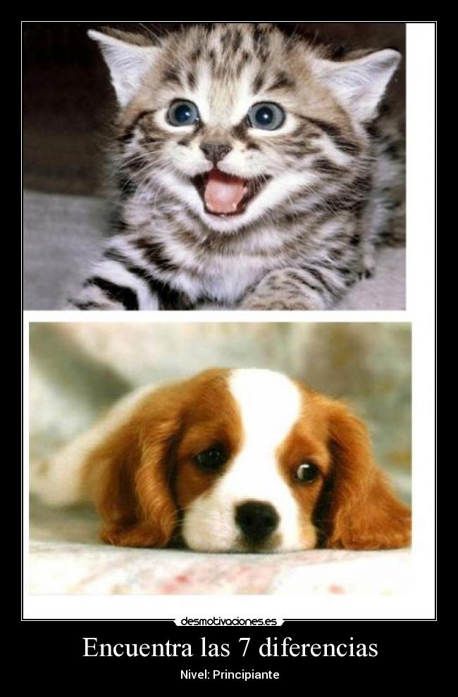 Encuentra las 7 diferencias - Nivel: Principiante