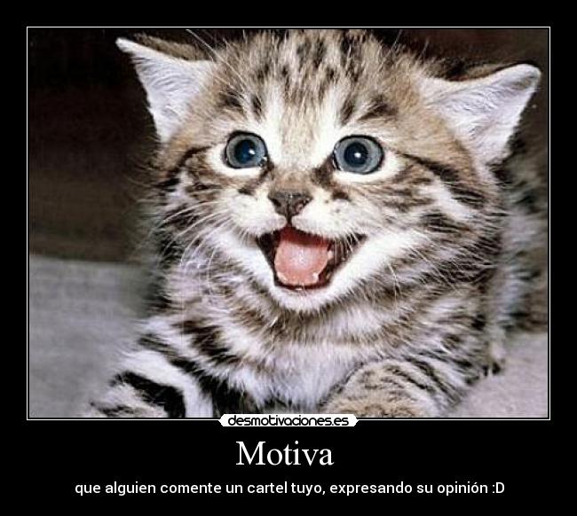 Motiva  - 