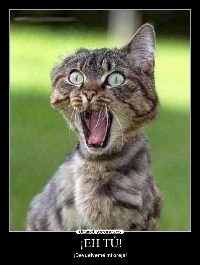 ¡EH TÚ! - ¡Devuelvemé mi oreja!