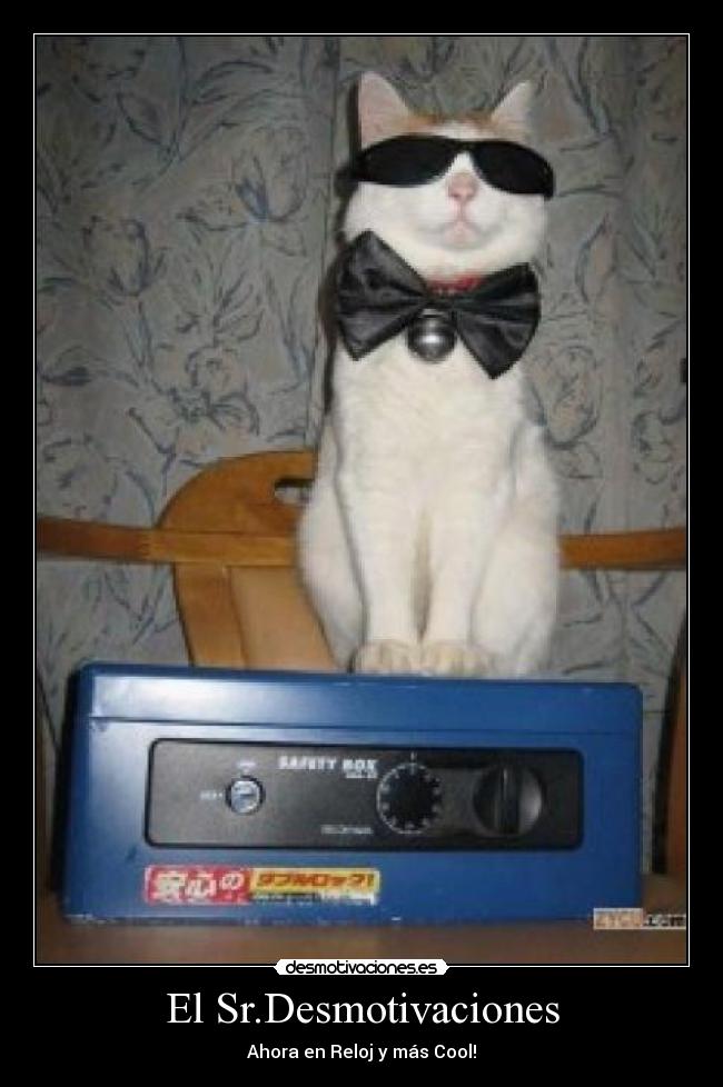 El Sr.Desmotivaciones - Ahora en Reloj y más Cool!