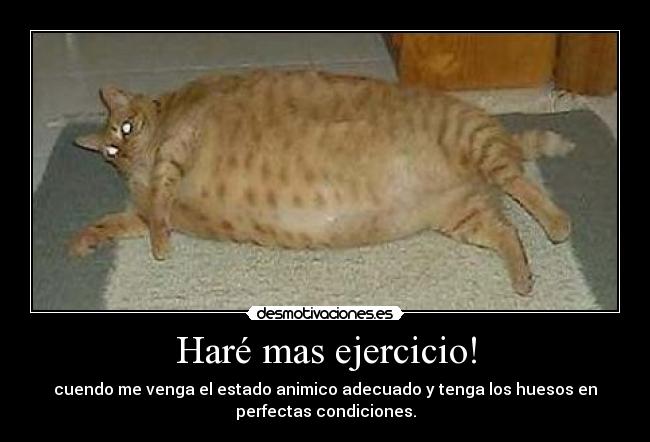 Haré mas ejercicio! - 