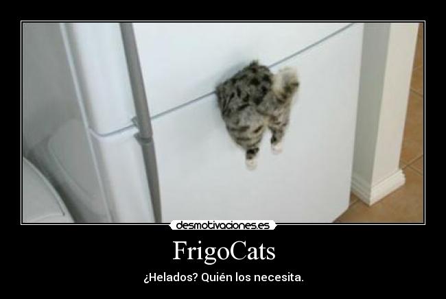FrigoCats - ¿Helados? Quién los necesita.
