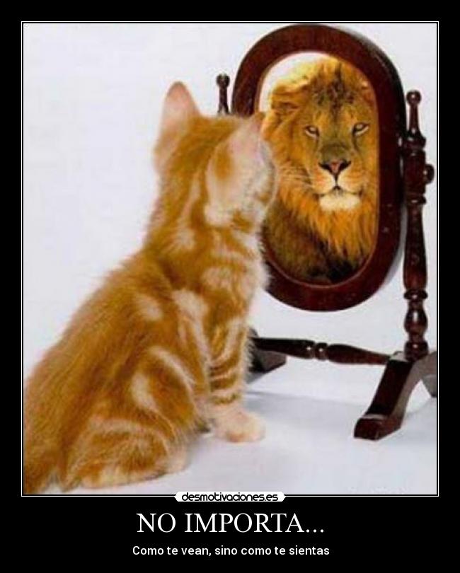 NO IMPORTA... - Como te vean, sino como te sientas