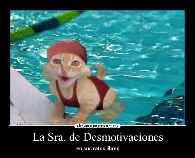 La Sra. de Desmotivaciones - 