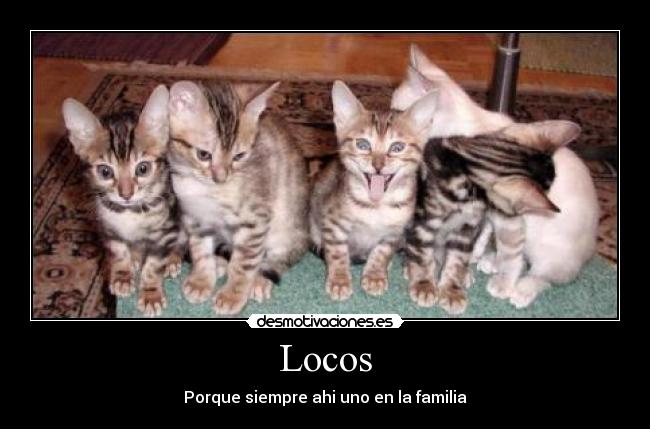 Locos - Porque siempre ahi uno en la familia