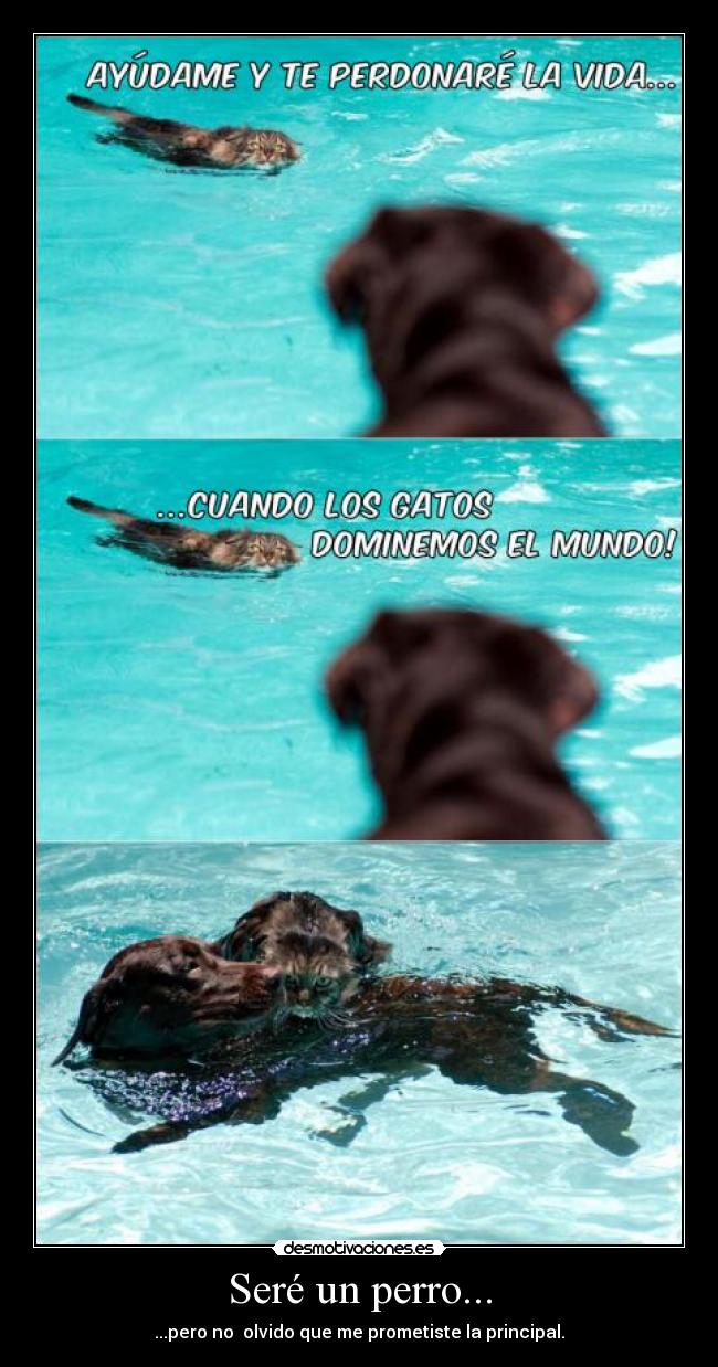 Seré un perro... - ...pero no olvido que me prometiste la principal.