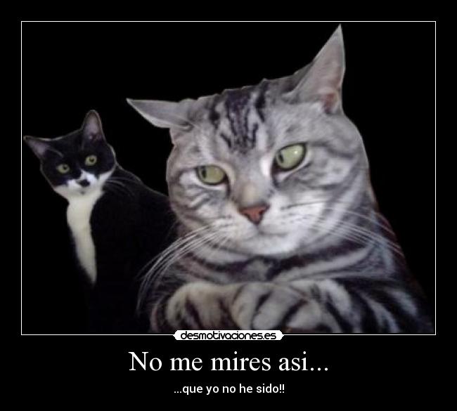 No me mires asi... -