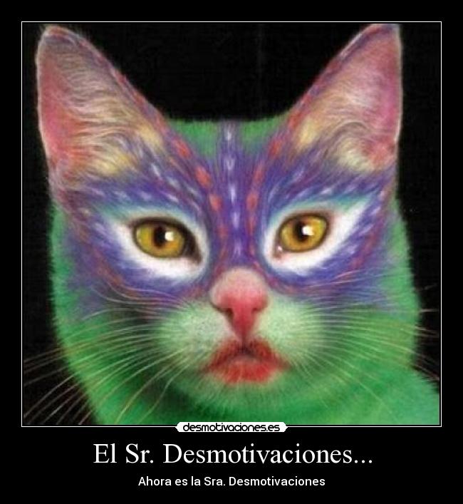 El Sr. Desmotivaciones... - 