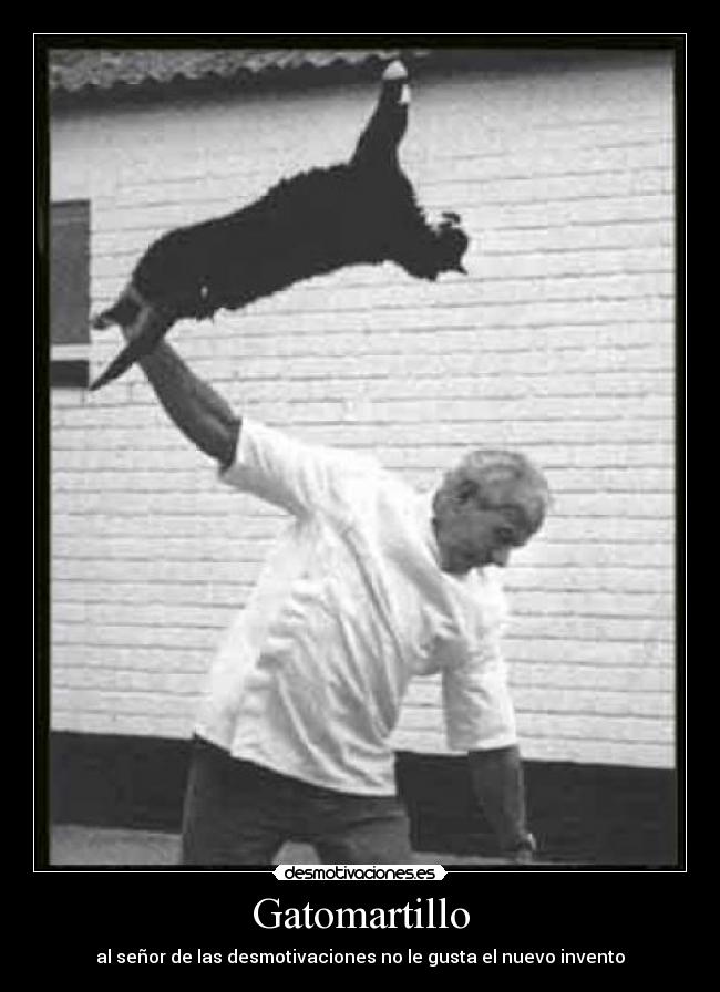 Gatomartillo -