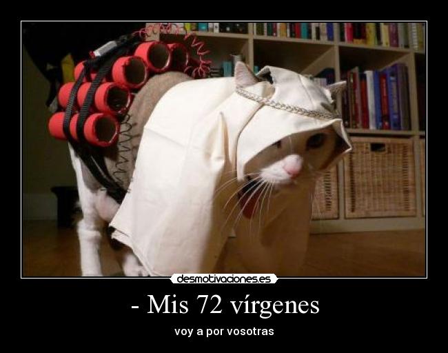 - Mis 72 vírgenes - voy a por vosotras