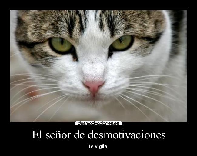 El señor de desmotivaciones -