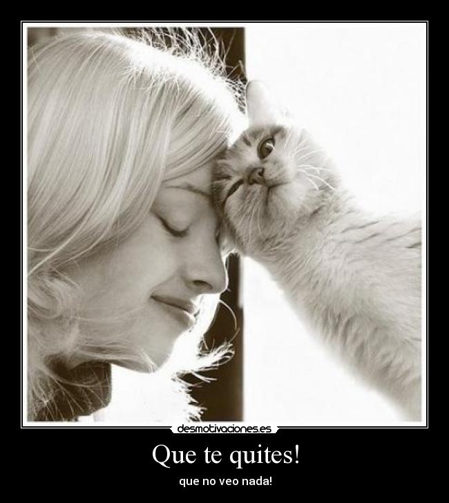 Que te quites! - que no veo nada!