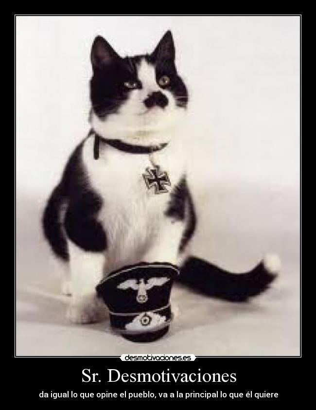 Sr. Desmotivaciones - 