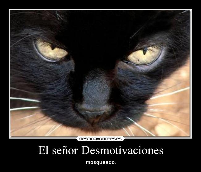 El señor Desmotivaciones - 
