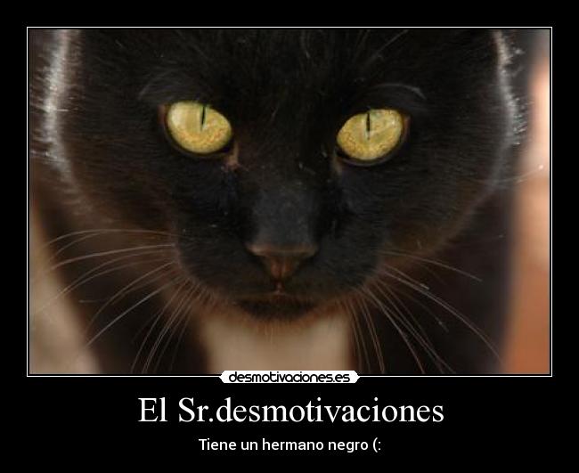 El Sr.desmotivaciones -