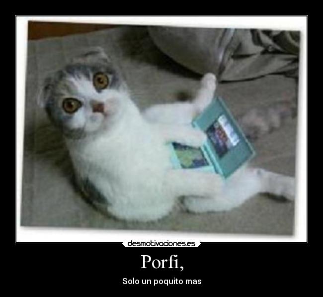 Porfi, - 