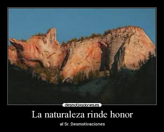 carteles naturaleza honor desmotivaciones