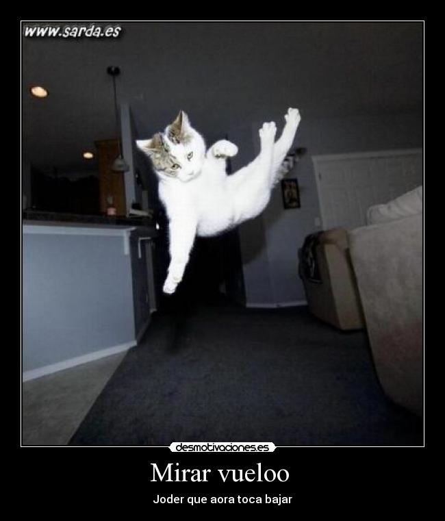 Mirar vueloo - Joder que aora toca bajar