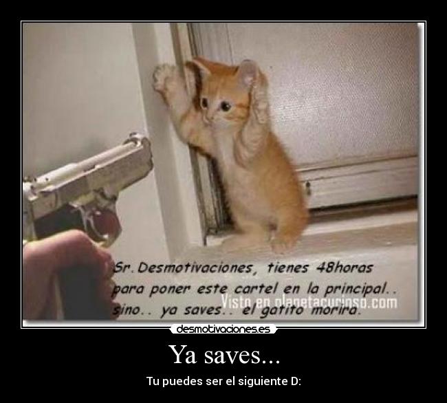 Ya saves... - 