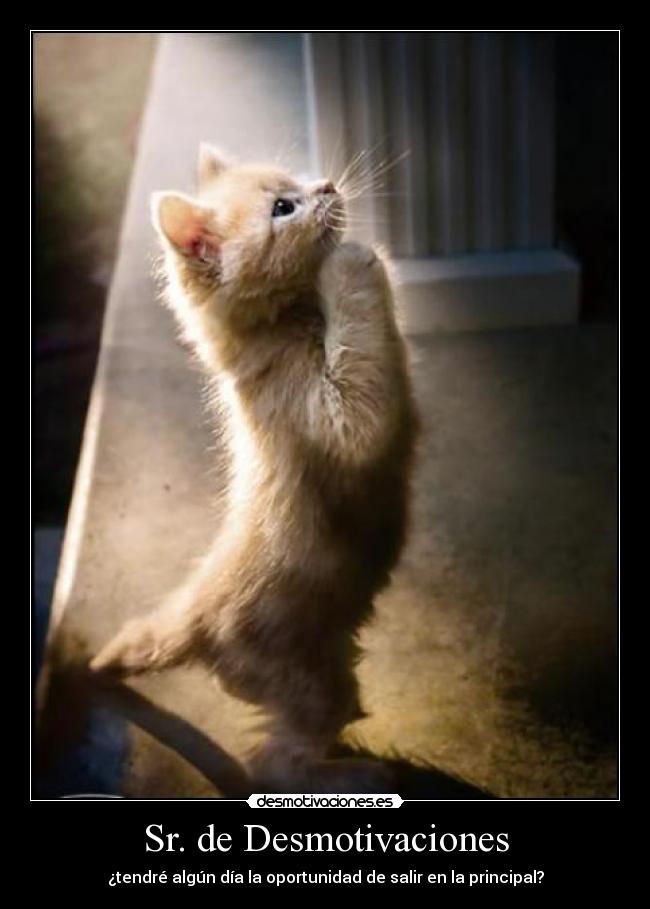 Sr. de Desmotivaciones -