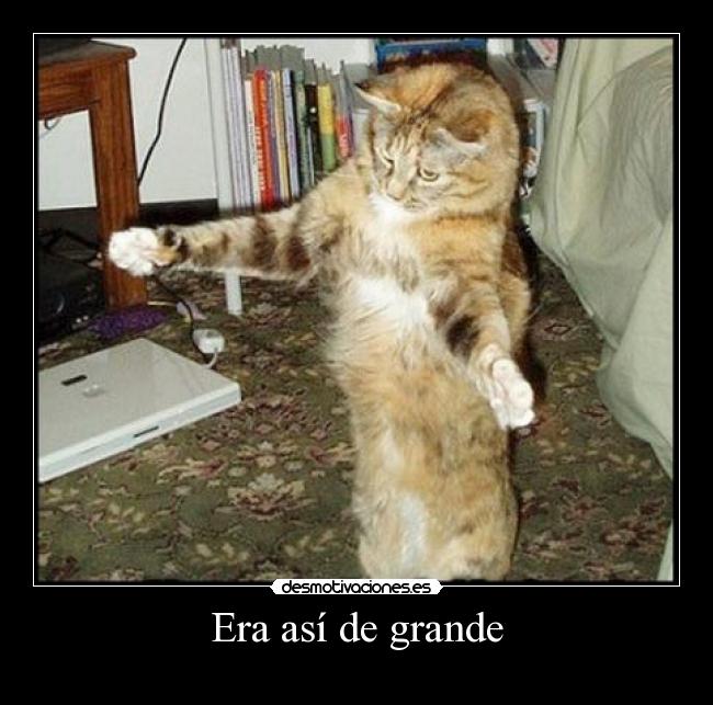 Era así de grande - 