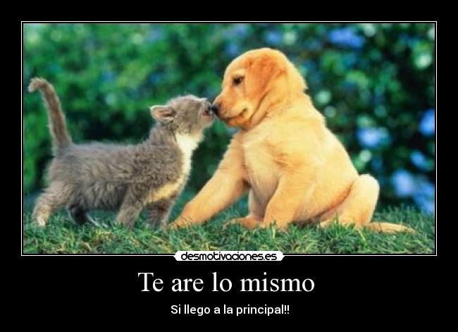 Te are lo mismo  - Si llego a la principal!!