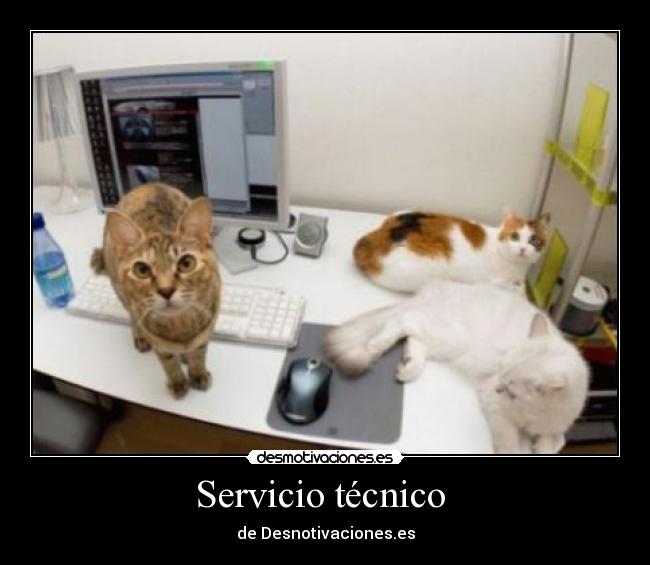 Servicio técnico  - 