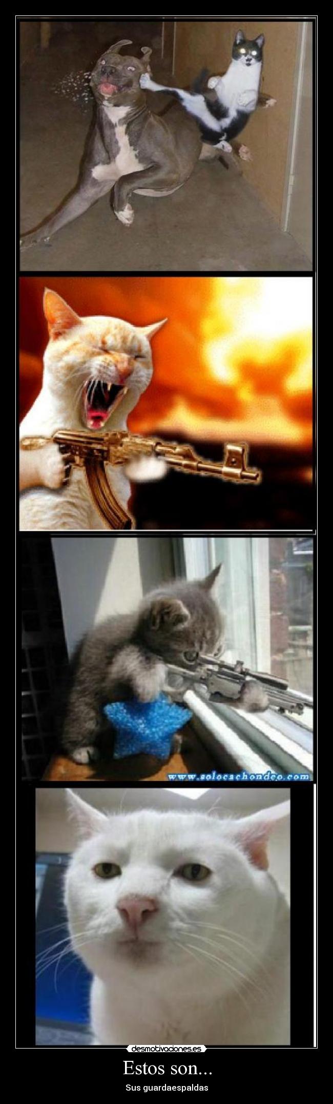 Estos son... - Sus guardaespaldas