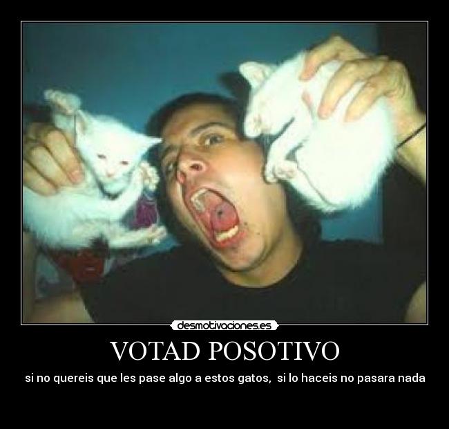 carteles votad positivo desmotivaciones