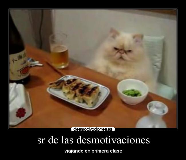 sr de las desmotivaciones - viajando en primera clase