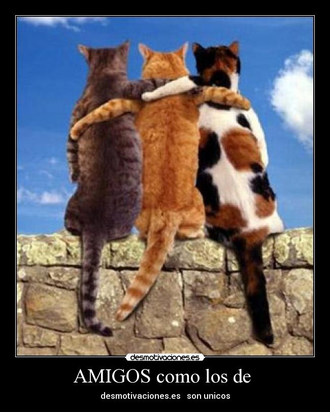 AMIGOS como los de - desmotivaciones.es son unicos
