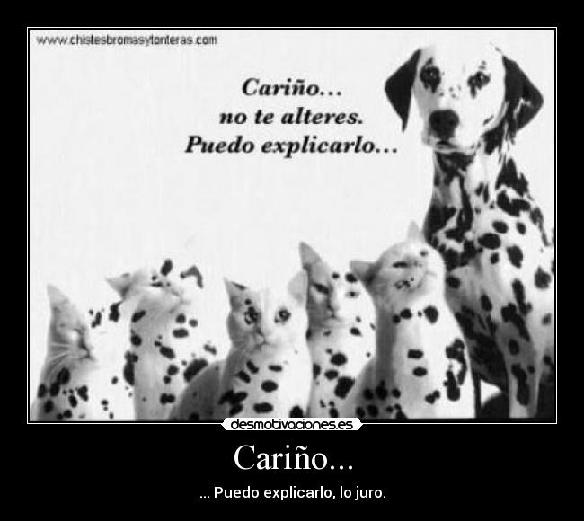 carteles perro dalmata infiel desmotivaciones