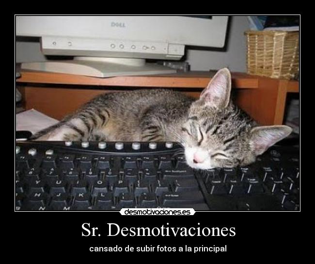 Sr. Desmotivaciones - 