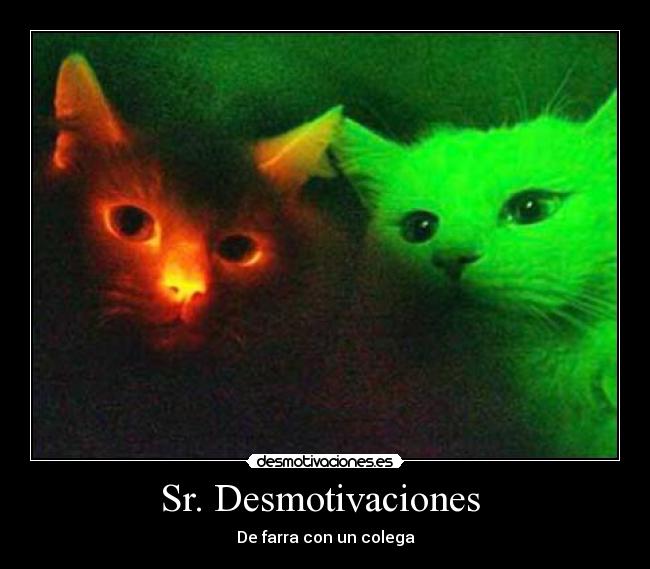 Sr. Desmotivaciones - De farra con un colega