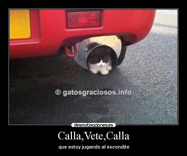 Calla,Vete,Calla - 