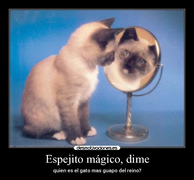 Espejito mágico, dime -