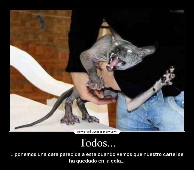 Todos... - ...ponemos una cara parecida a esta cuando vemos que nuestro cartel se
ha quedado en la cola... 