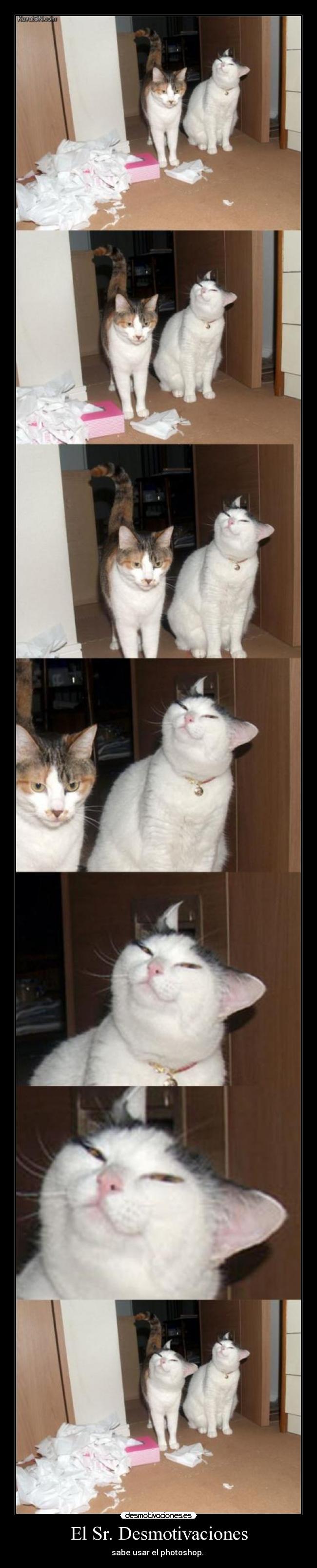 El Sr. Desmotivaciones - sabe usar el photoshop.