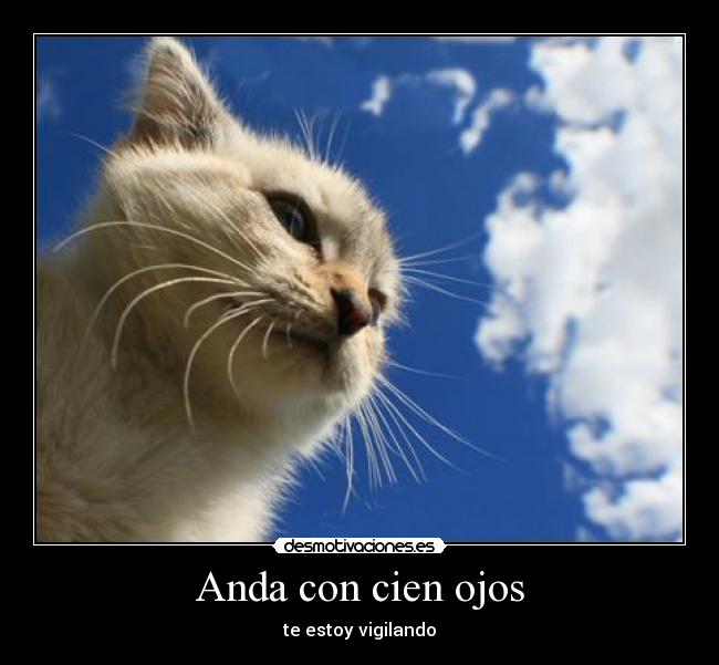 Anda con cien ojos - 
