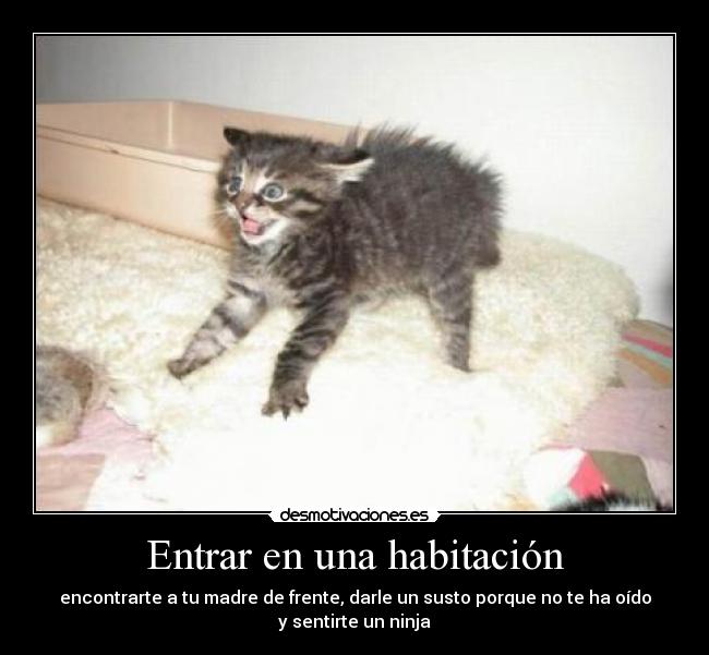 Entrar en una habitación - encontrarte a tu madre de frente, darle un susto porque no te ha oído
y sentirte un ninja