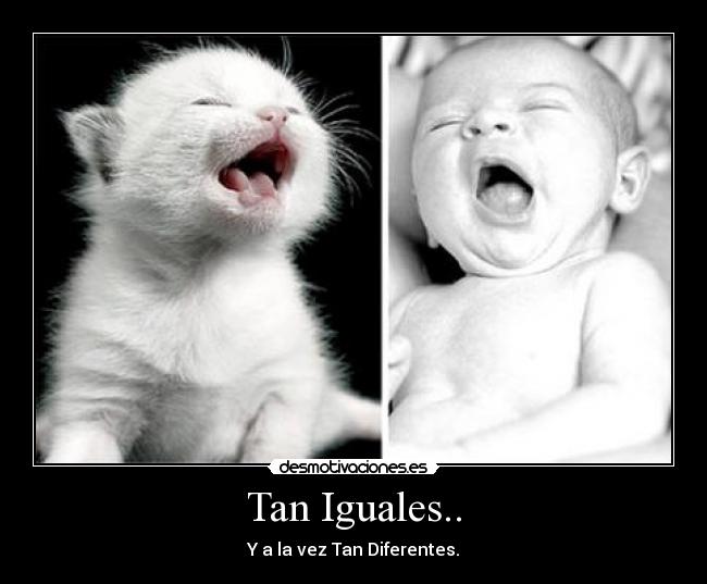 Tan Iguales.. -