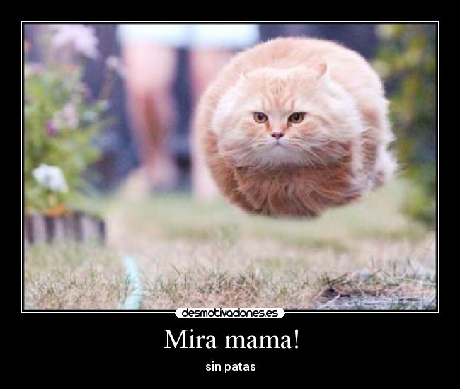Mira mama! -